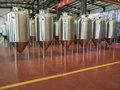 Zh300L Craft Beer Brewing Equipment 2