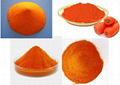 β-carotene powder 20%