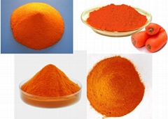 β-carotene powder 20%