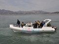China Liya 8.3m family leisure rib tourist rib boat with CE 3