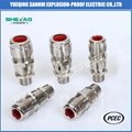 Brass Explosion-proof Cable gland for armored cable IP68