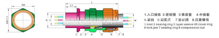 Brass Explosion-proof Cable gland for armored cable IP68 2