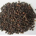 BLACK PEPPER 1