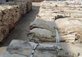 DRY / WET SALTED DONKEY HIDE