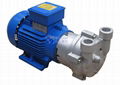 2BV water ring vacuum pump 1