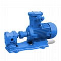  2CY high pressure electric fuel pump double gear oil pump