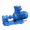  2CY high pressure electric fuel pump double gear oil pump