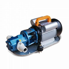 WCB portable gear pump oil transfer pump