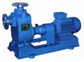 ZX horizontal self priming water pump