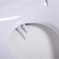 Royalstar Intelligent electric bidet toilet seat  3