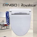 Royalstar smart electric bidet toilet