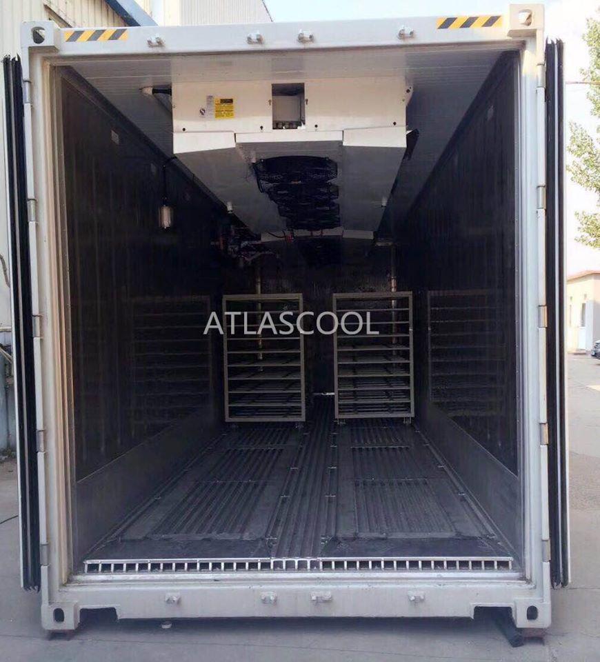 Mobile shipping blast freezer container portable freezing container for