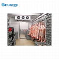 Cold Room Meat Storage