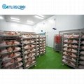 Cold Room Meat Storage 3