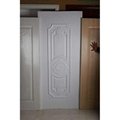 Classic American Mdf Moulded WPC Door Skin From China 5