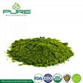 8.Organic Wheatgrass powder