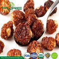 7.Organic Dried Sea Buckthorn Berry 1