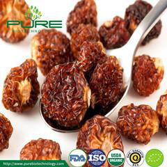 7.Organic Dried Sea Buckthorn Berry