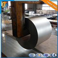 Good Quality Competitive Prices Galvanized Steel Coils 5