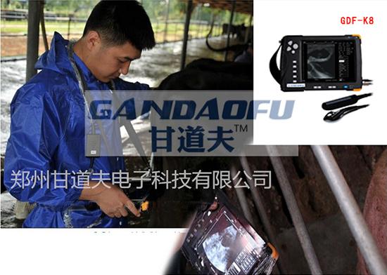 奶牛用B超测孕仪GDF-K8厂家直销包邮 4