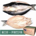 開背巴沙魚批發 1