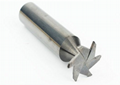  Carbide Non-Standard 3/4 Flutes HSS T-Slot Milling Cutters