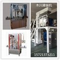 Automatic particle packing machine 2