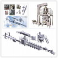 Automatic powder packing machine 1