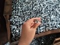 Hex Bolts  4
