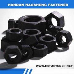 Hex Nut