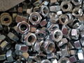 Hex Nut  2