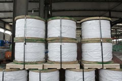 Extra-High Strength and Ultra-High Strength Galvanized Steel Core Wire