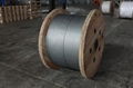     Extra-High Strength and Ultra-High Strength Galvanized Steel Core Wire 2