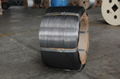 Steel Wire For Automotive System 1