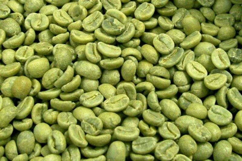 Green coffee beans arabica robusta coffee beans