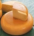 Cheddar cheese Mozzarella cheese Gouda