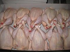 Halal Whole frozen chicken