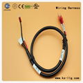 custtomized Wiring Harness UL