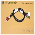 China OEM Wiring Harness for Electronics