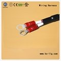 China OEM Wiring Harness for Electronics 2