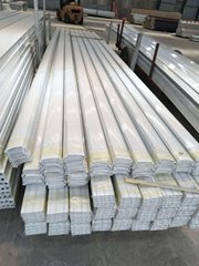 Linyi Jinshi Aluminum Co., Ltd 