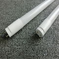 T8 LED tube light 1