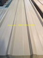 corrugated prepainted  steel sheet  4