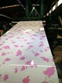 flower design prepainted steel coil