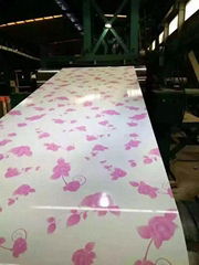 flower design prepainted steel coil 