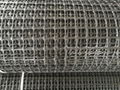 Plastic Geogrid 4