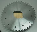 Multi Rip TCT saw blade for wet solid wood 2