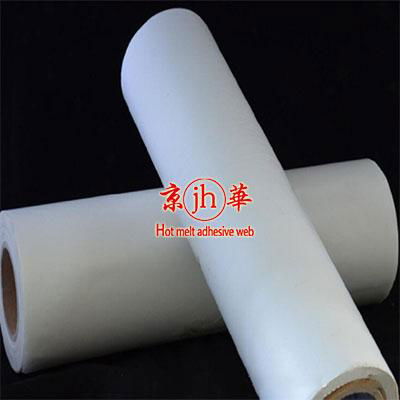 Hot melt adhesive web film