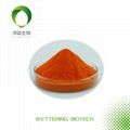 B-carotene Salina extract HPLC1% Orange powder 1