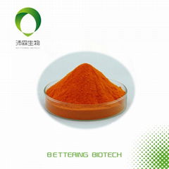 B-carotene Salina extract HPLC1% Orange powder